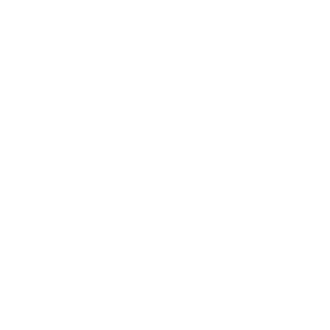 White Calendar Icon